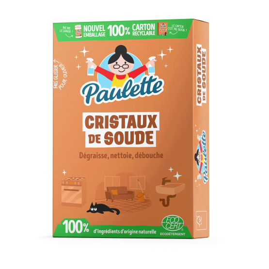Cristaux de Soude - 500 g