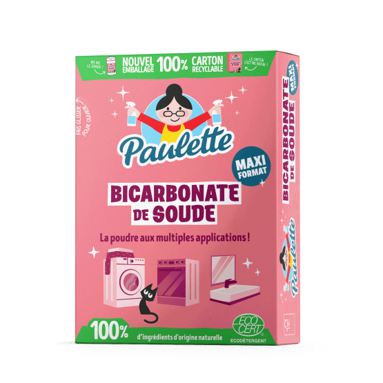 Bicarbonate de Soude - 1 kg