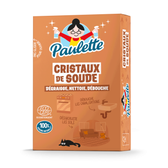 Cristaux de Soude - 500 g