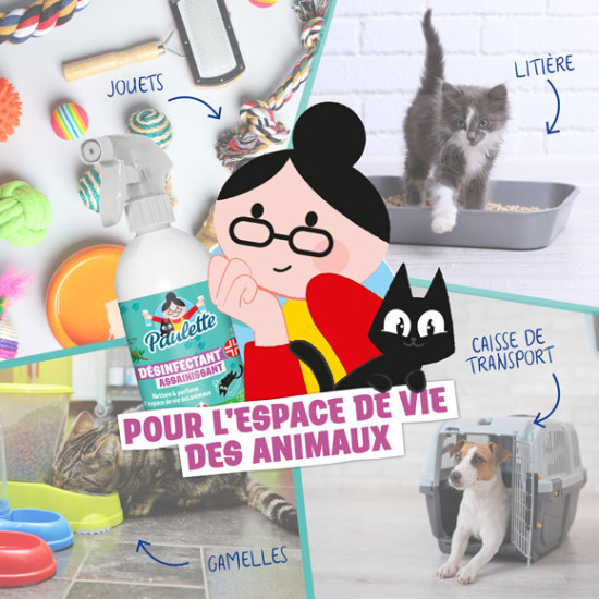 Desinfectant_assainissant_580x580px
                  